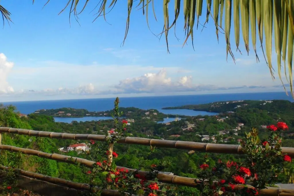 شقة Spacious & Quiet Apt 2 Nested Point Old Westerhall Corbeau Town