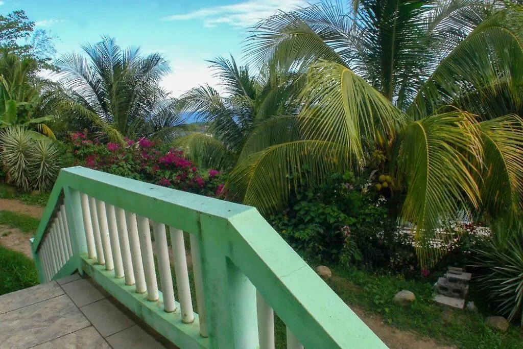 Spacious & Quiet Apt 2 Nested Point Old Westerhall Corbeau Town شقة